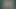 ビッグバストのトランスジェンダーのミスティがワイルドで勃起したペニスを露わにしている