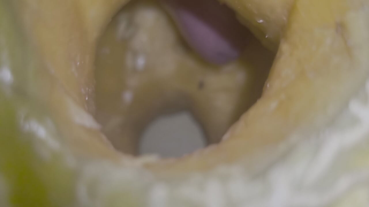 Melon fuck