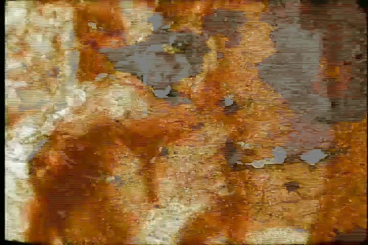 HIPPIES IN HEAT (Full Movie)