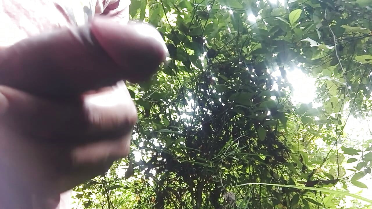 My new dasi video