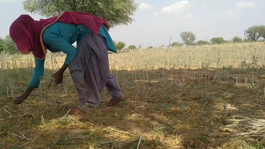 Bahar khet me kam rahi Ghar le ja ke salwar khol ke choda