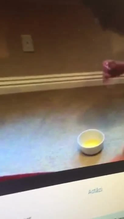 little pissant perv slut drink owner pee