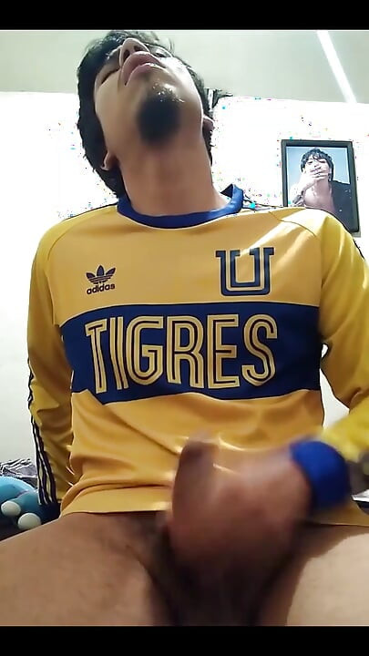 Hajde Tigres, vraćam se bogat.
