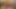 Fat couple suck each other's cocks and cum on each other's faces