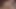 My Stepsister’s Secret is Seducing me and Squirting all over Stepbro’s Cock