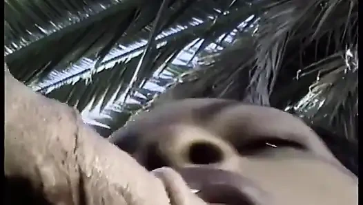 Горячая черная крошка раздевается, затем сосет большой черный член