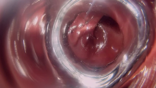 İç görünüm v2 cam buttplug