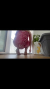 Pregled videozapisa