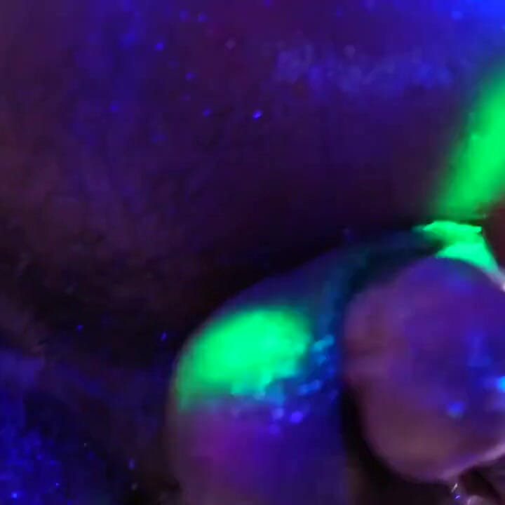 Dick, Ass, And Balls Rim Job Hallelujah Johnson