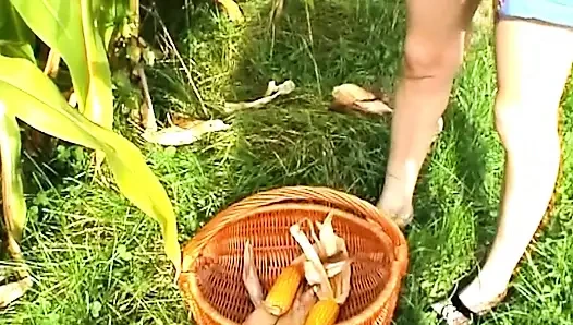 Массивный кукурузный початок растягивается широко зияющей киской на улице