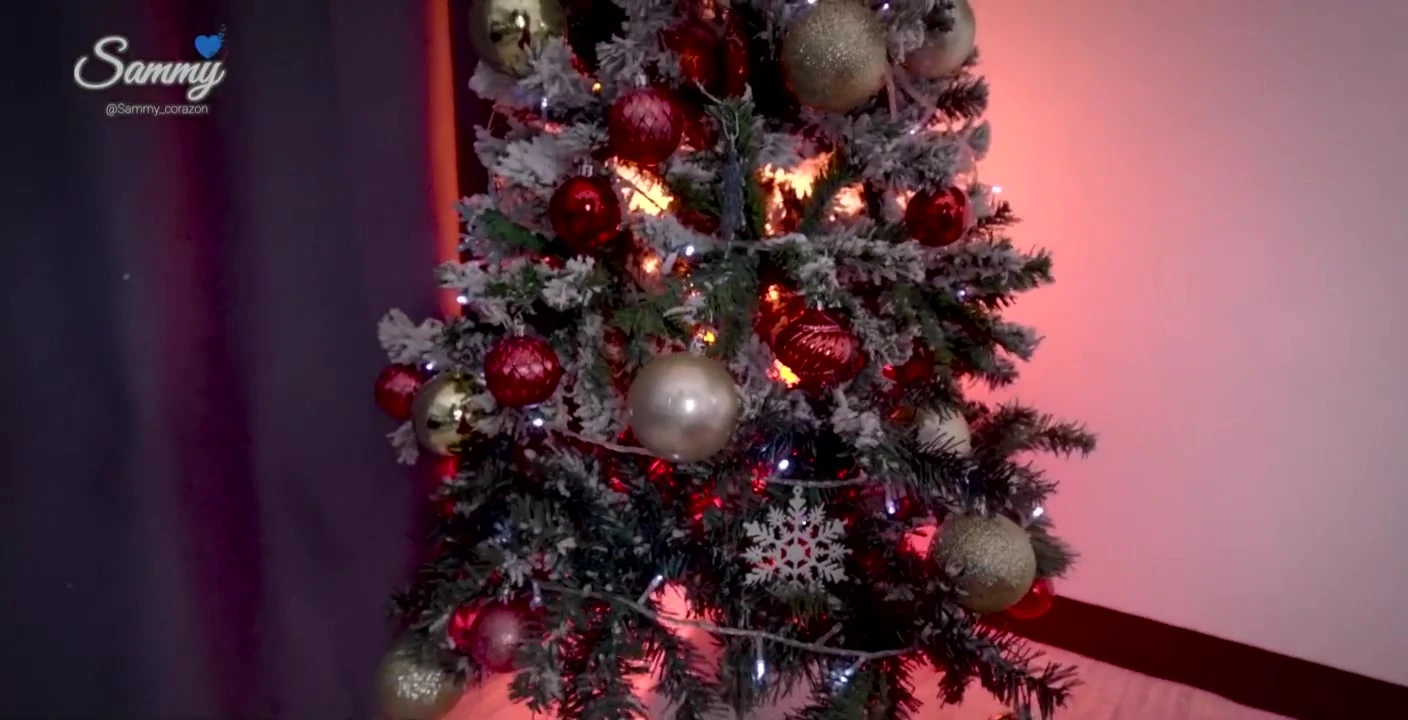 Xxxmas Special 2