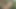 Hardcore Anal Rimming With my buddy in the forest
