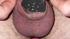 Flat chastity cage penis check