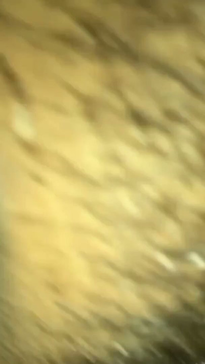 Indian Bhabhi New Sex With Her Debor Full Night And Full Time Romance | Clip 2
