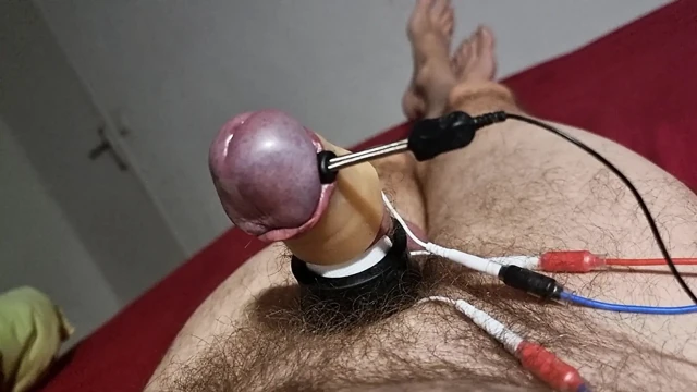 Et312 estim electrified acorn that runs away