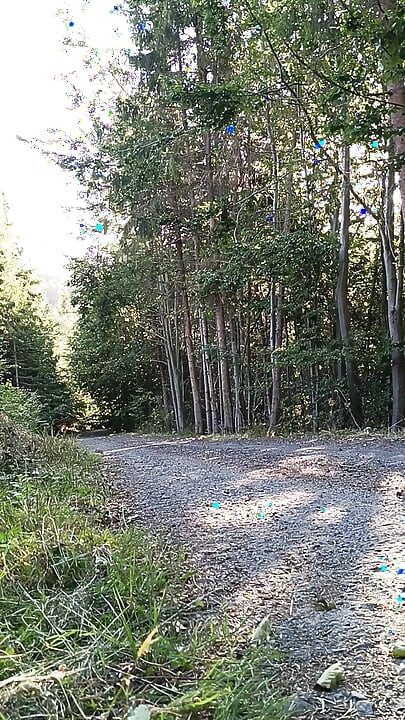 Skootar savar aautdor hastmaithun