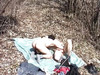 Pregled videozapisa