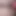Chuddakad evli kadın priya ebeveynlerinin evinde Müslüman arkadaşının penisini emiyor, tam yüz videosu sert ıslak emiyor dölleme