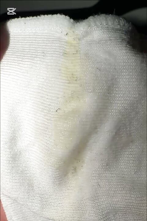 White panties of my pregnant wife