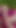 Stunning moment from "Outdoor anal sex on a meadow is what this farm chick s all"