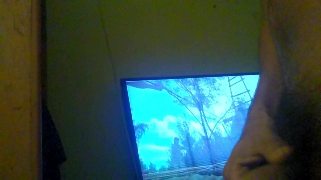 Paja