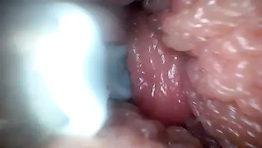 Extreme Nähe macht den Beobachter zu einem aktiven, hungrigen teilnehmer