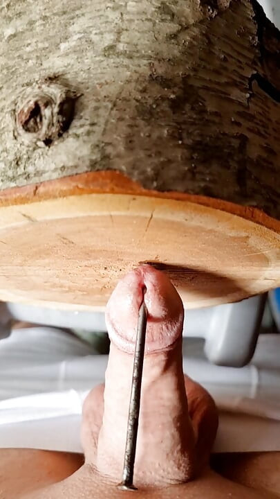 Punishing the tail and nailing it to the wood