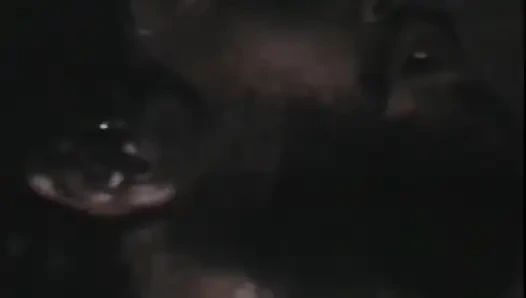 Die legende des porno - USA 1969, der anfang - szene 04