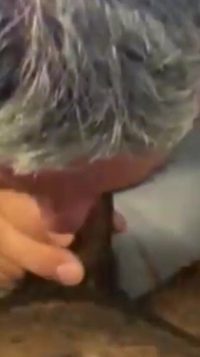 Unforgettable moment from "He Just Love Sucking My Big Cock"