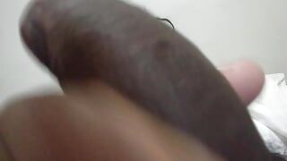 Grosse bite noire