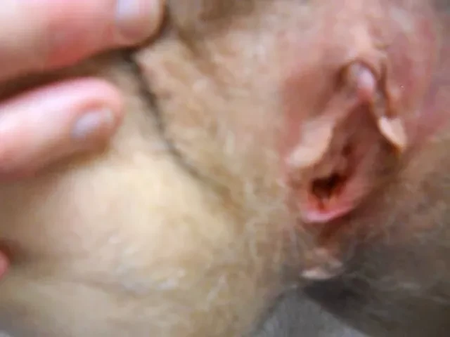 wife fucks and spreads on desk