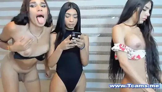 Trois transsexuelles sexy sont excitées devant la caméra