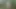 Husband fucks bound girl hard in the ass in the forest – cum inside