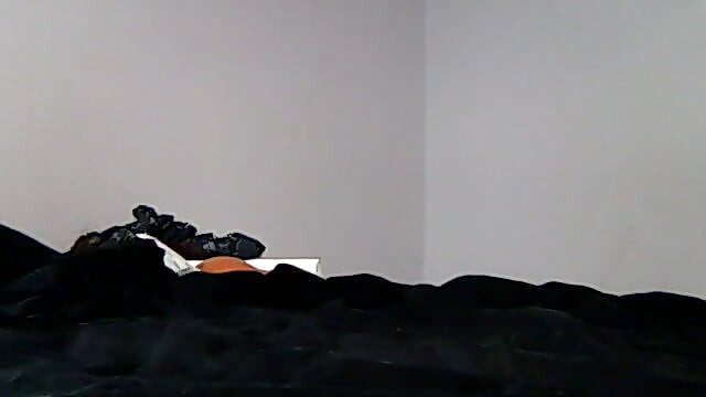 Lubang saya yang musnah