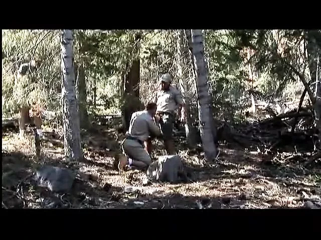 Cabin fever