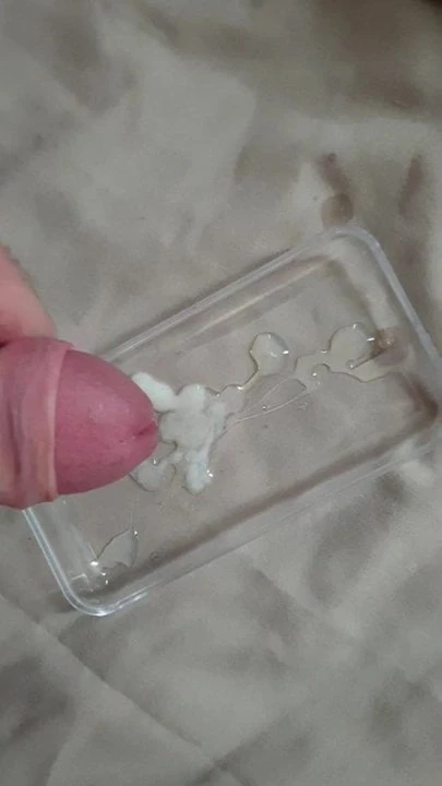 Afternoon cum