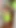 Elaina St James, Neon Green NipSlip Blooper Moment. mature MILF, 50 Plus