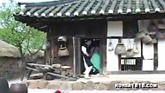 पारंपरिक कोरियाई महिला गड़बड़ हो जाता है