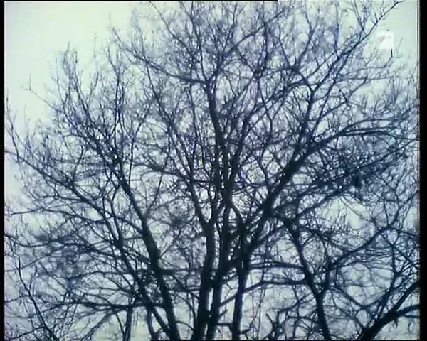 Your Wife, The Unknown Creature (documentary, 1969)