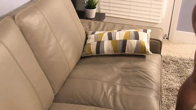 Gay Porn ( New VenyverasTRES )