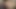 BBW facesitting