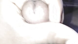 الهندي عن قرب الديك