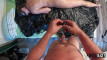 Pregled videozapisa