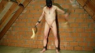     cock whipping