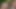 この大きな自然な胸は公園でセックスするのが好きだ