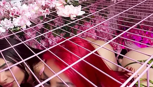 Pink room ep.33: si cewek nakal latina yang lagi sange berat zoey dan jessica suka banget sama kontol