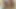 Ebony Girlfriend in Threesome Cuckold
