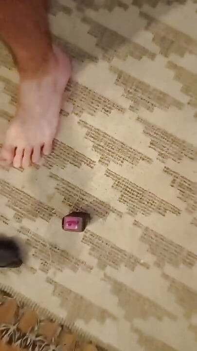 הומו