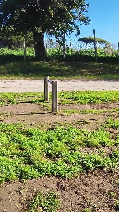 Key moment from "FLASHING my COCK in front a everyone in a PUBLIC PARK and my STEPDAUGHER HELPS me CUMSHOT - REAL SEX RISKY"