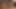 PRIVATE Mira and Sharon Love A Horny Threesome